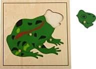 Botany Puzzle Frog